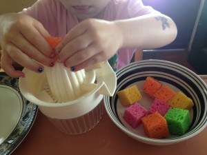 juicer and sponges