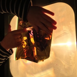 Sensory Bag on Light Table - www.YourTherapySource.com