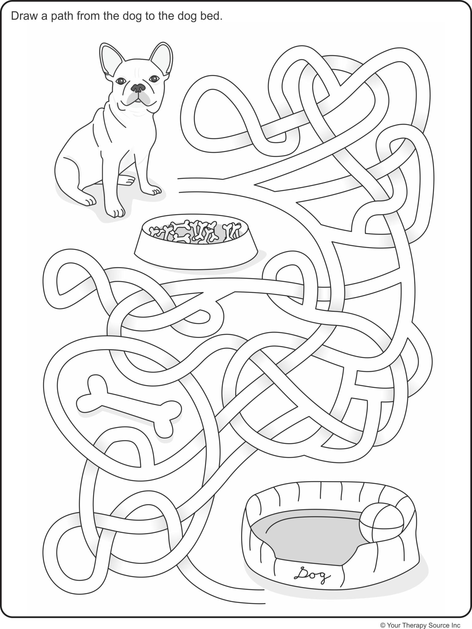Visual Spatial Dog Maze