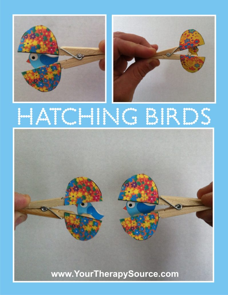 Hatching Birds