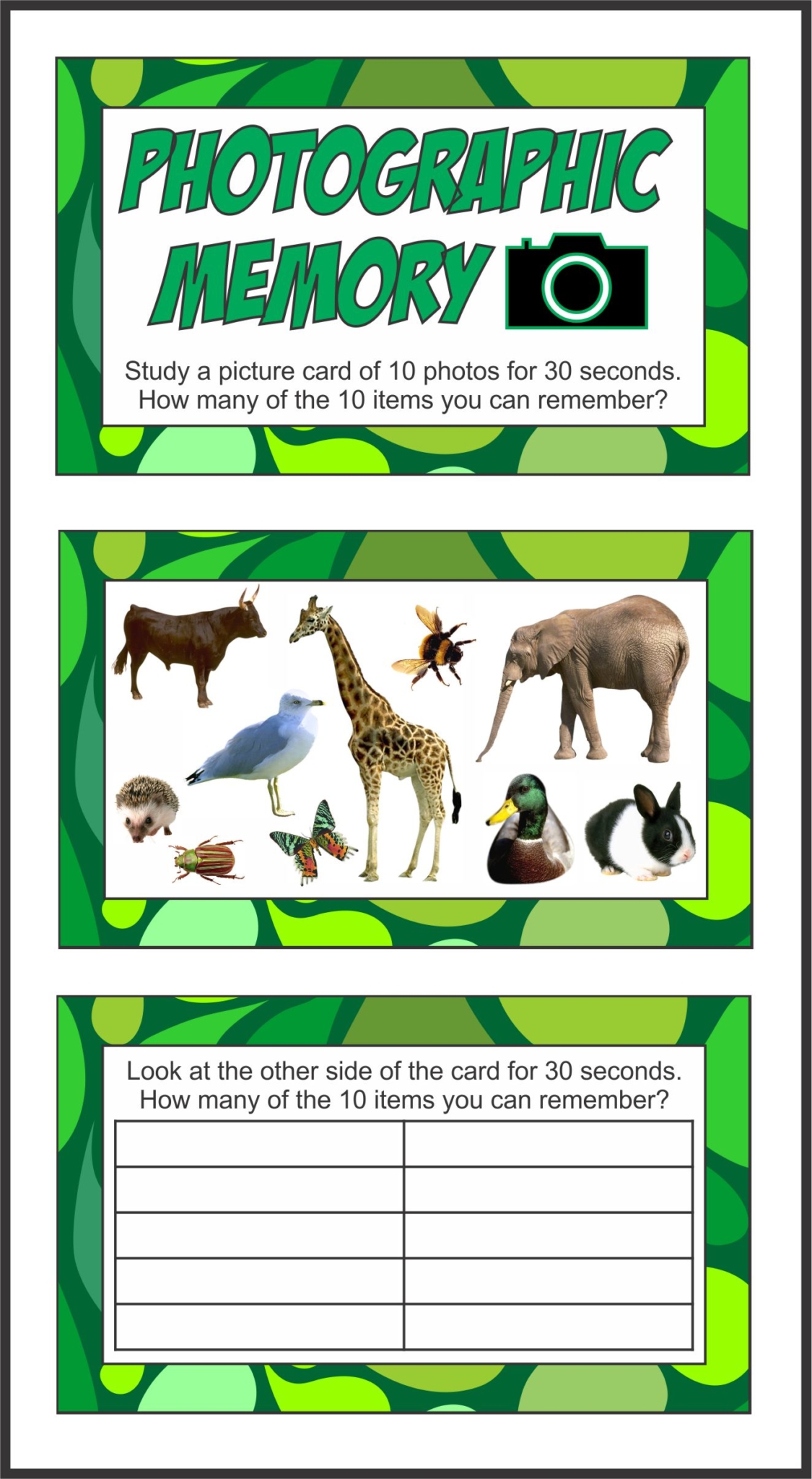Photographic Memory