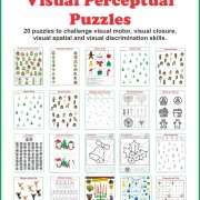 December Visual Perceptual Puzzles