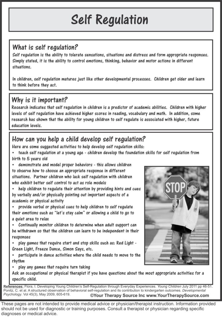 Self Regulation from the What? Why? and How? Series 3