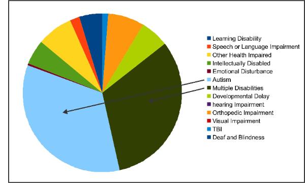 iep_classification_3-600x360