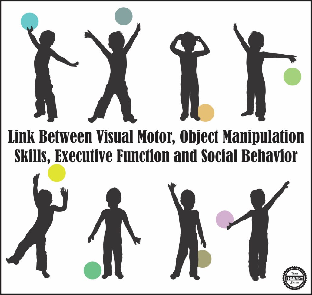 Link Between Visual Motor, Object Manipulation Skills, Executive Function and Social Behavior
