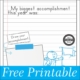 This accomplishment worksheet can help students stop and reflect what they have acheived, it also helps them to plan for the future.  
