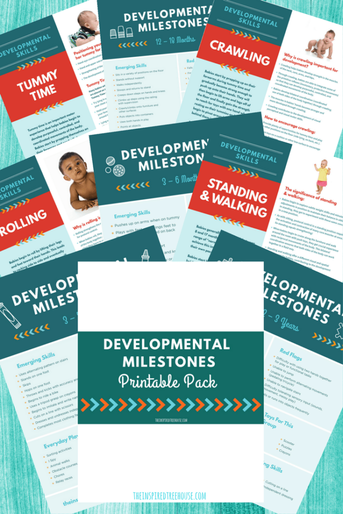 Developmental Milestones Handout Pack