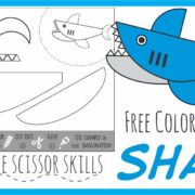 Color Cut Glue Shark