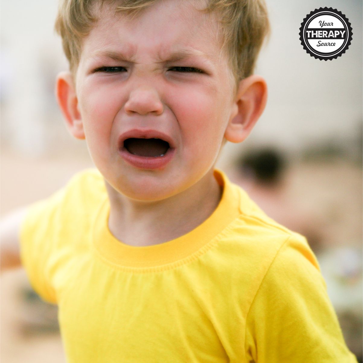 Arousal and Behavioral Regulation in Children with Autism