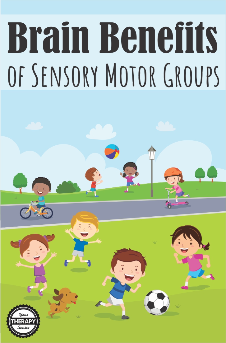 Brain Benefits of Sensory Motor Groups