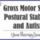 Gross Motor Skills, Postural Stability, and Autism
