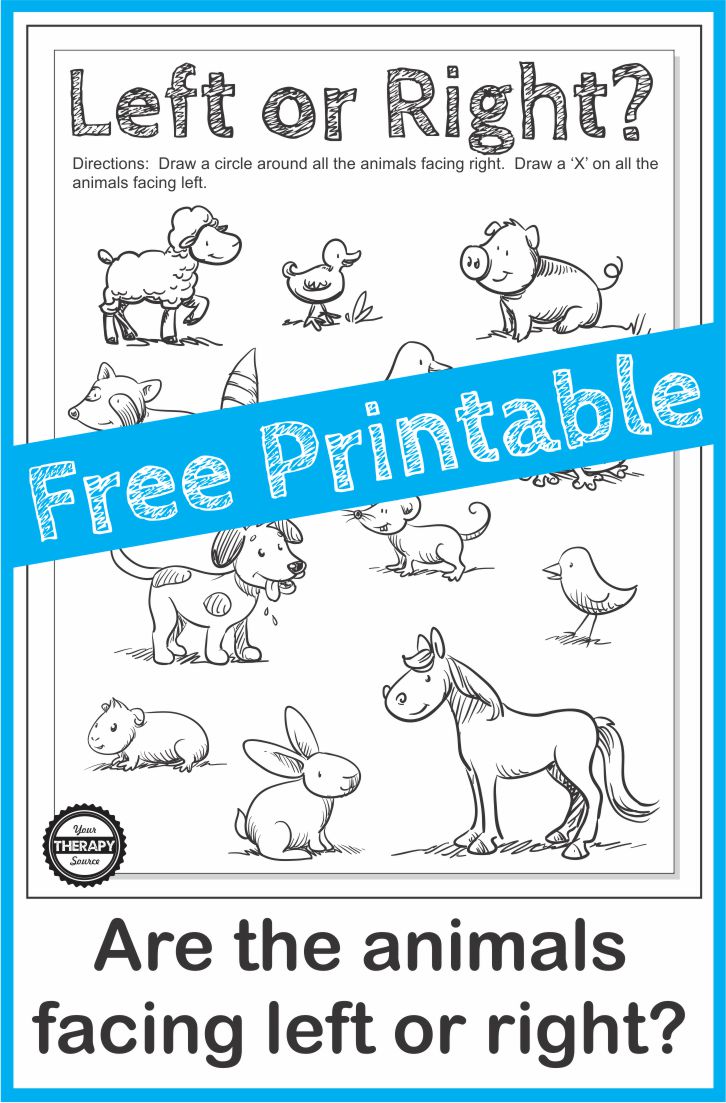 Directionality Worksheet - Which way is the animal facing