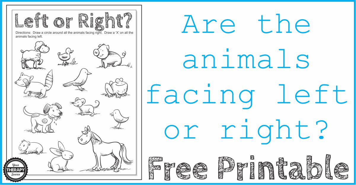 Directionality Worksheet - Which way is the animal facing