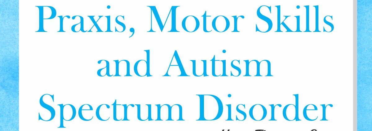 Praxis, Motor Skills, and Autism
