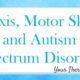 Praxis, Motor Skills, and Autism