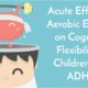 Acute Effects of Aerobic Exercise on Cognitive Flexibility in Children with ADHD