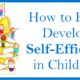 Self-efficacy is the belief in yourself that you are capable of achieving a goal.  As therapists, teachers, and parents we can help with the development of self-efficacy in children to teach them to persevere by reinforcing their strengths and helping establish steps to reach their goals.