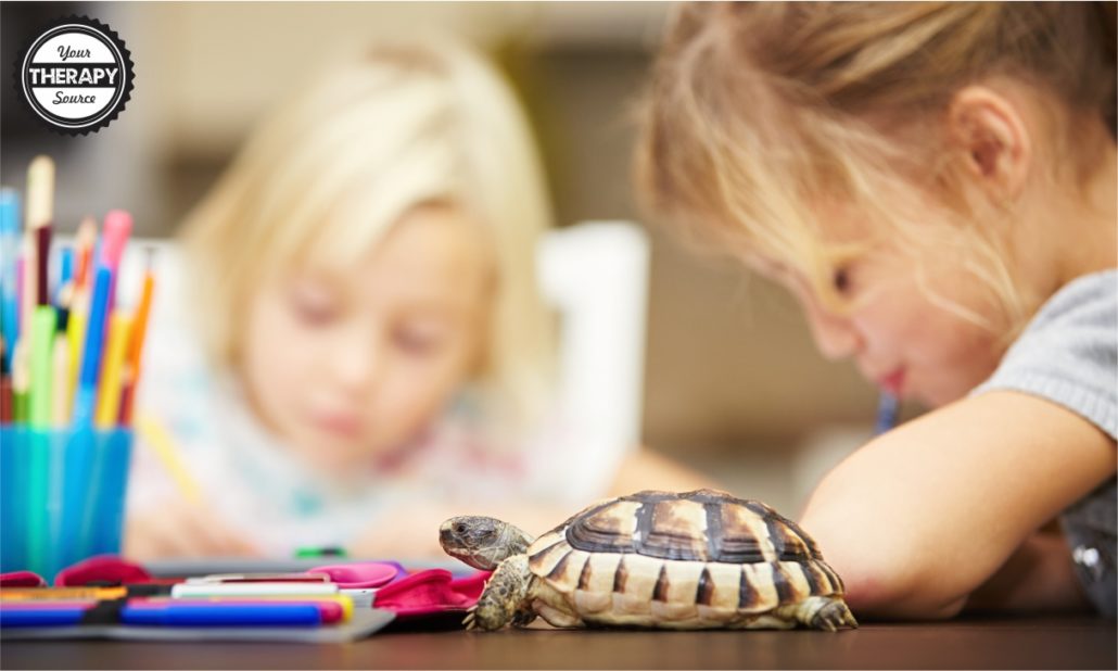 Students Who Complete School Work Slowly