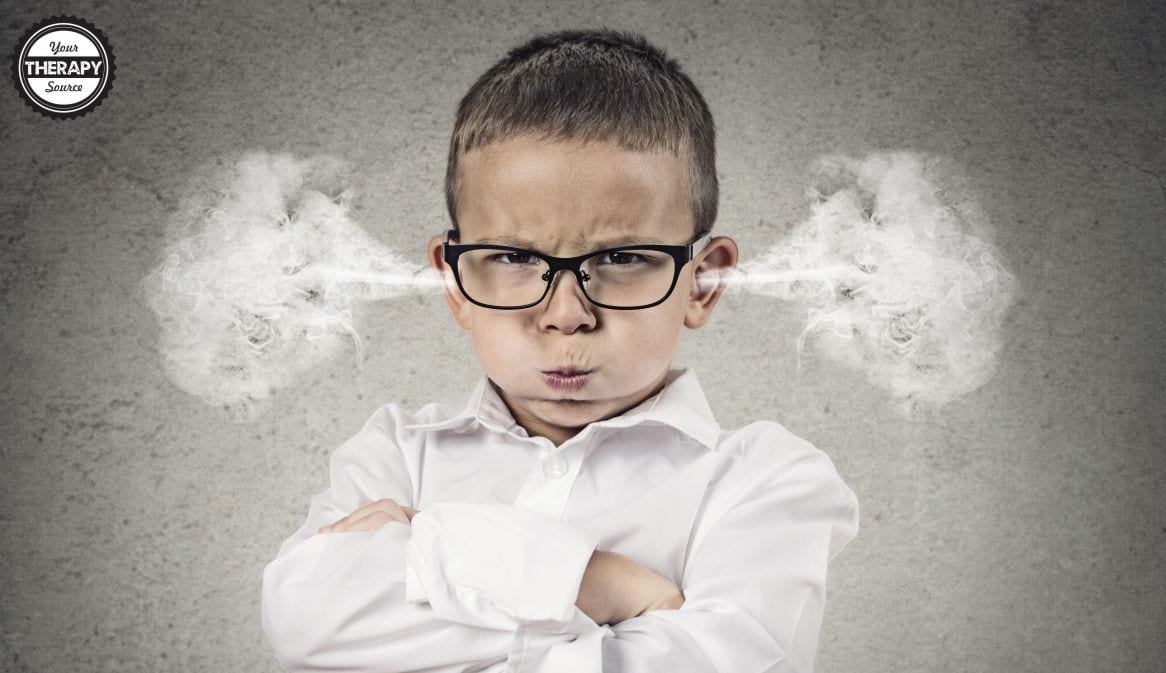 Do you feel like children seem to have more difficulties with self-regulation? Maybe your own children or you see other children acting out more than ever. Parenting has changed so much over the last few decades making the job impossible on many days. Here are a few suggestions to help with emotional dysregulation in children.