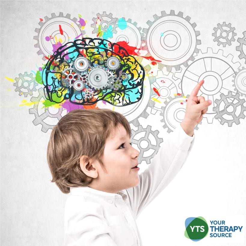Are you familiar with the importance of the brain development of executive function in children?  The skills are essential for students to thrive in the school setting.