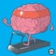Did you know that physical exercise for brain development in youth is beneficial? A recent study looked at the effects of physical activity on brain structure and function in youth.