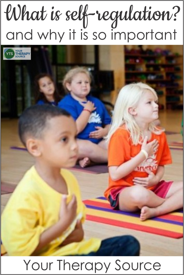 The answer to the question,what is self-regulation, can be very complex.  In simple terms, self-regulation is the ability to monitor and manage your energy states, emotions, thoughts, and behaviors in ways that are acceptable and produce positive results such as well-being, loving relationships, and learning.  