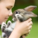 Children (and adults) can start integrating different breathing techniques into their day. Bunny breathing or bunny breaths is one type of breathing technique to teach children.