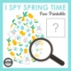 Check out this I Spy Spring Time Egg puzzle freebie to challenge your students' visual perceptual skills from Your Therapy Source.