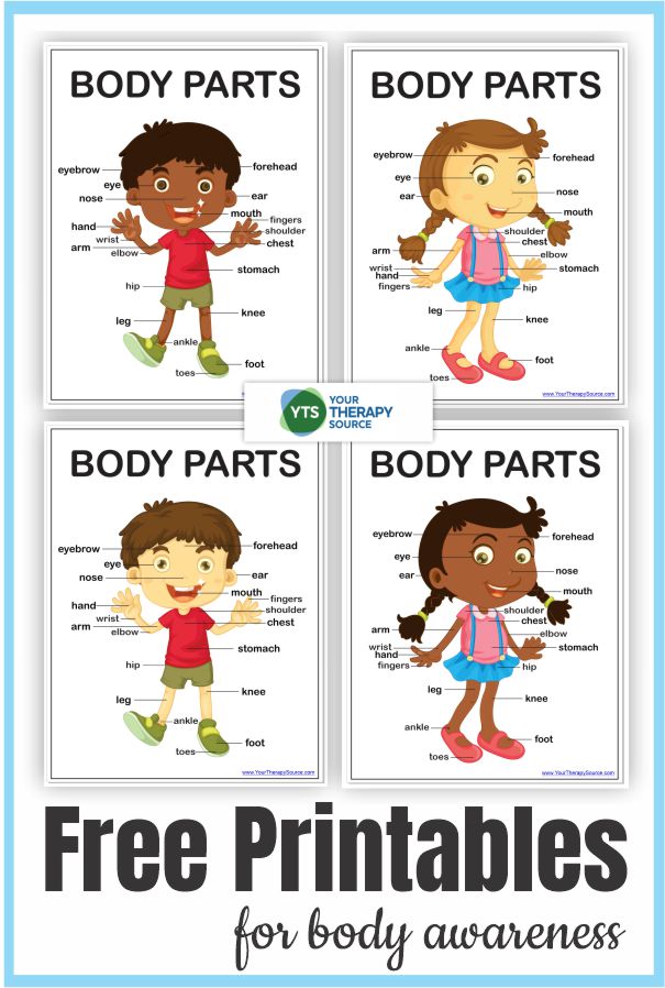 6 Body Awareness Activities and Printables - FREE from Your Therapy Source for kids to learn about body awareness and other skills.