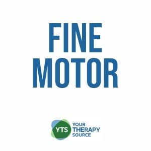 Fine Motor