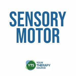 Sensory Motor