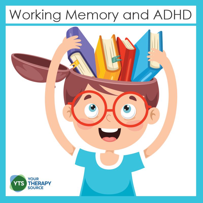 Researchers have explored ADHD and memory in children in order to understand any memory problems that may be present in this group of children.