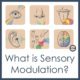 Sensory modulation is the ability of the brain to interpret sensory input and form an appropriate behavioral and motor response.
