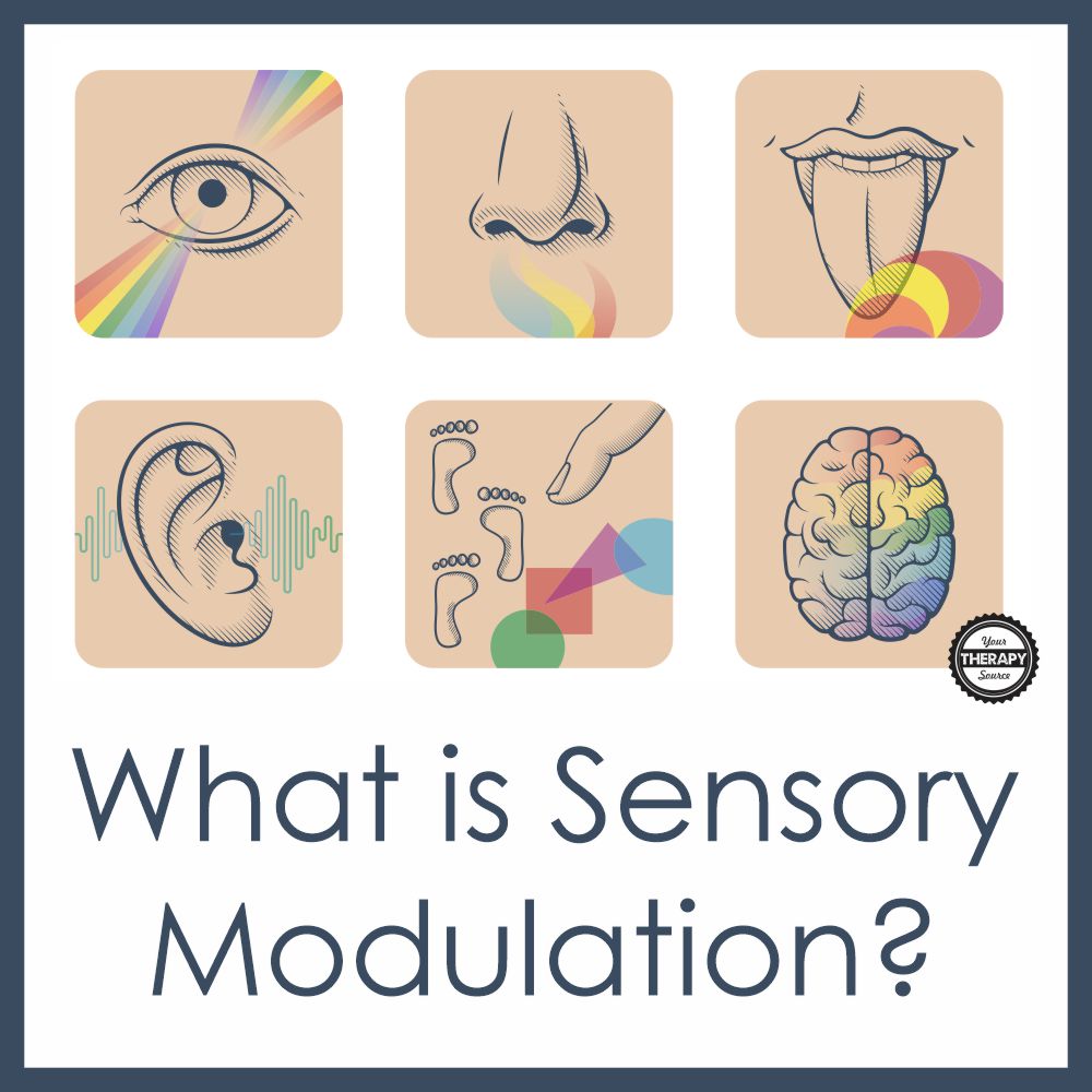 Sensory modulation is the ability of the brain to interpret sensory input and form an appropriate behavioral and motor response.