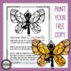 Are you looking for butterfly gross motor activities for preschoolers and older? This one page ZERO PREP activity has you covered.