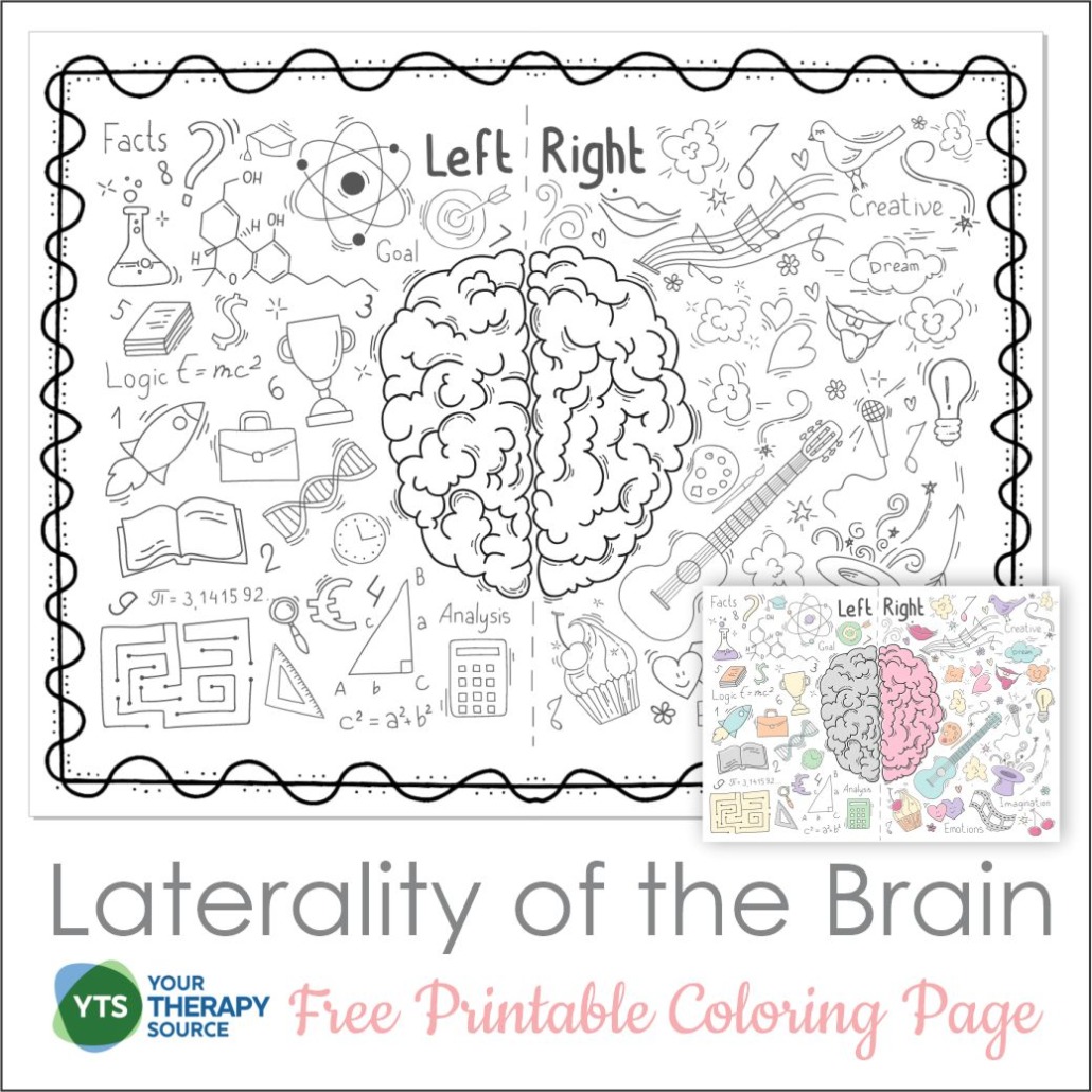 laterality exercises brain left right coloring page