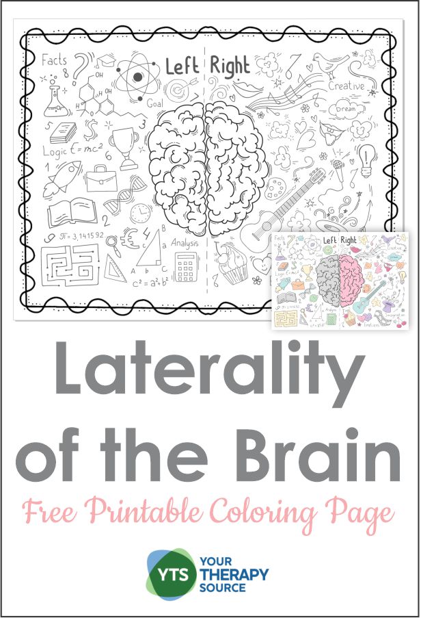 Laterality Exercises Free Coloring Page