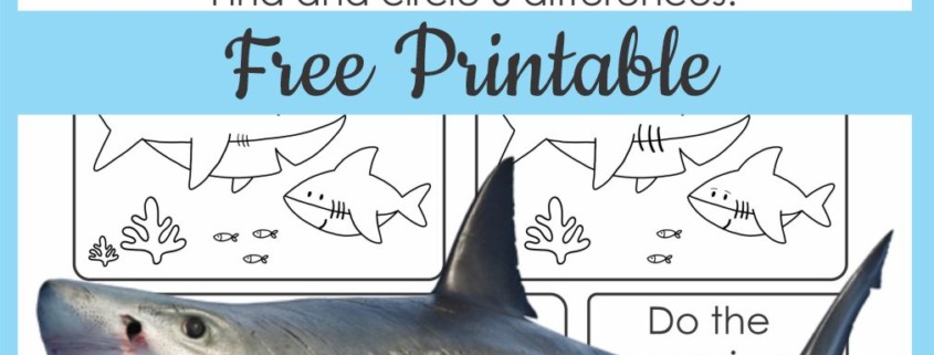 Shark Worksheet PDF for Kids