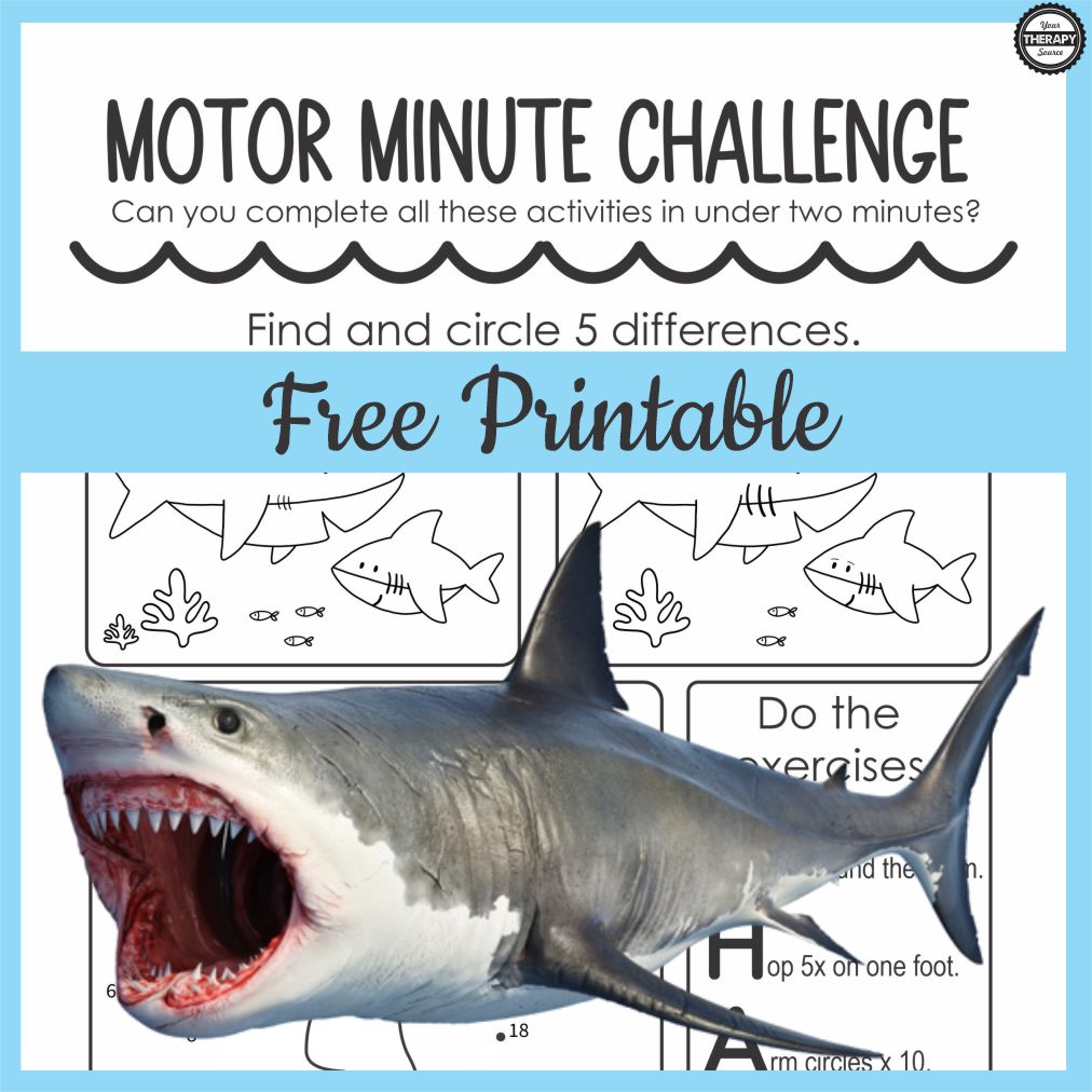 Shark Worksheet PDF for Kids
