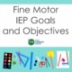 Fine motor IEP goals focus on the skills needed in school. Fine motor goal examples for occupational therapists to use are provided.