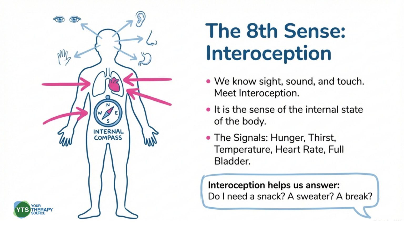 15 Interoception Activities to Build Body Awareness in Kids - Your ...