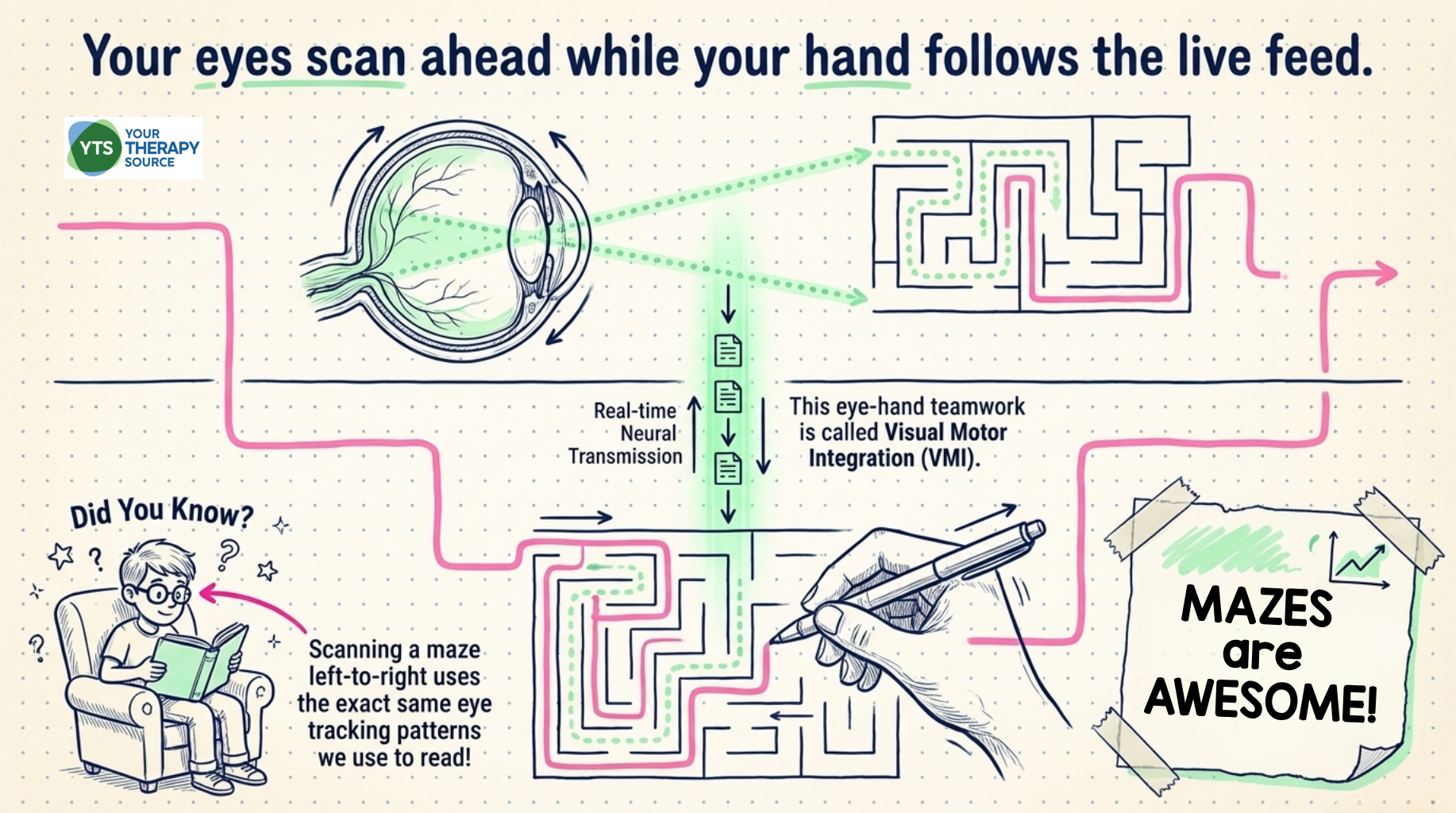What Skills Do Mazes Improve? - Your Therapy Source