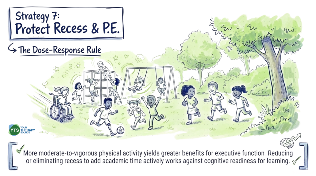 Physical Activity and Executive Function in Children - Your Therapy Source