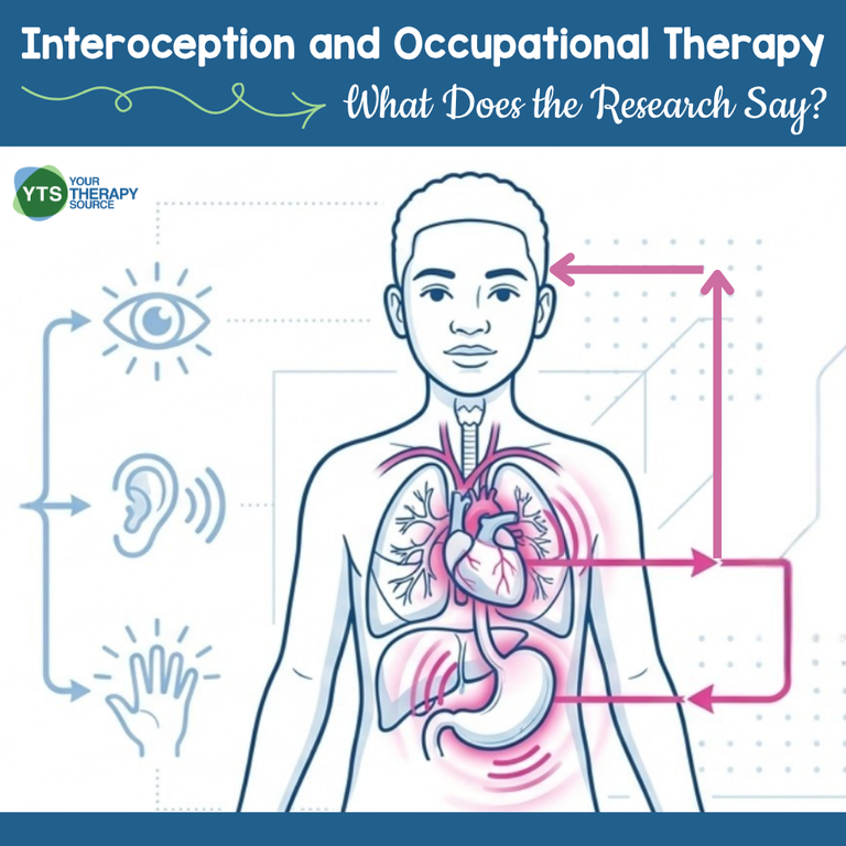 Interoception And Occupational Therapy Pediatric Practice - Your ...